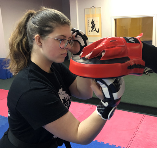 New England Martial Arts Stoughton, MA