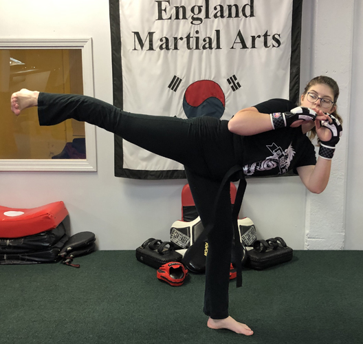 New England Martial Arts Stoughton, MA